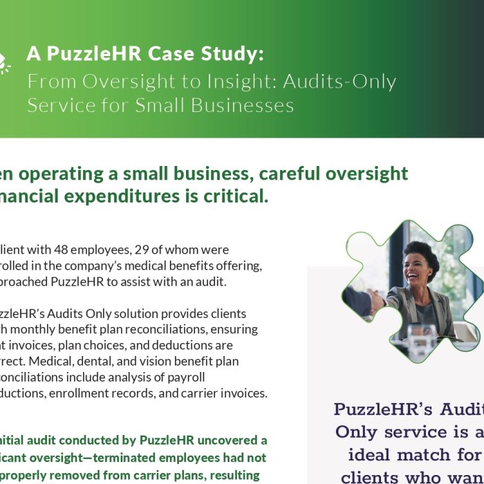 PHR Case Study Audits Only Service for Small Businesses From Oversight to Insight page 0001