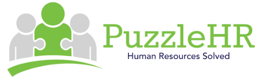 Puzzle Logo Color